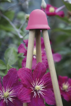Stokdopjes voor 3-stok pyramide